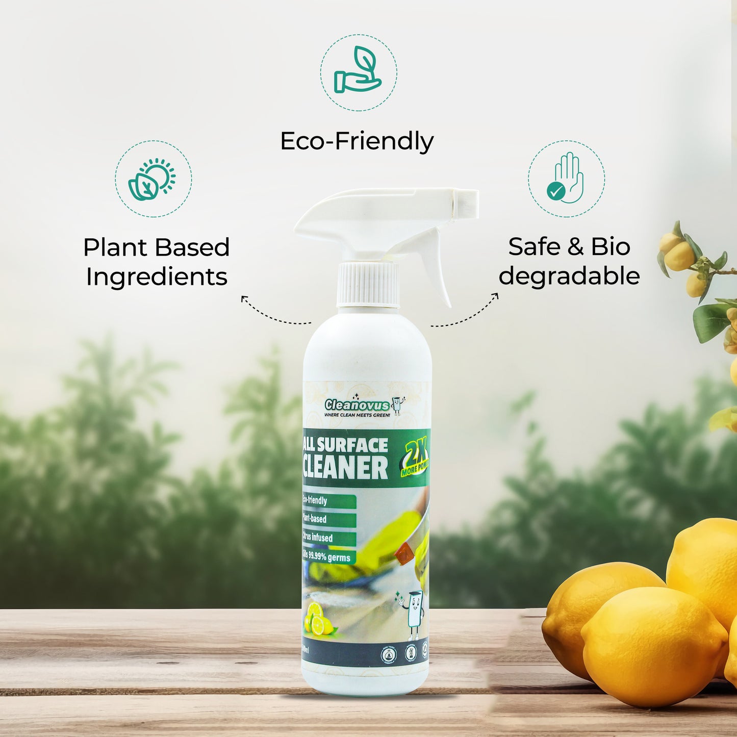 All Surface Cleaner