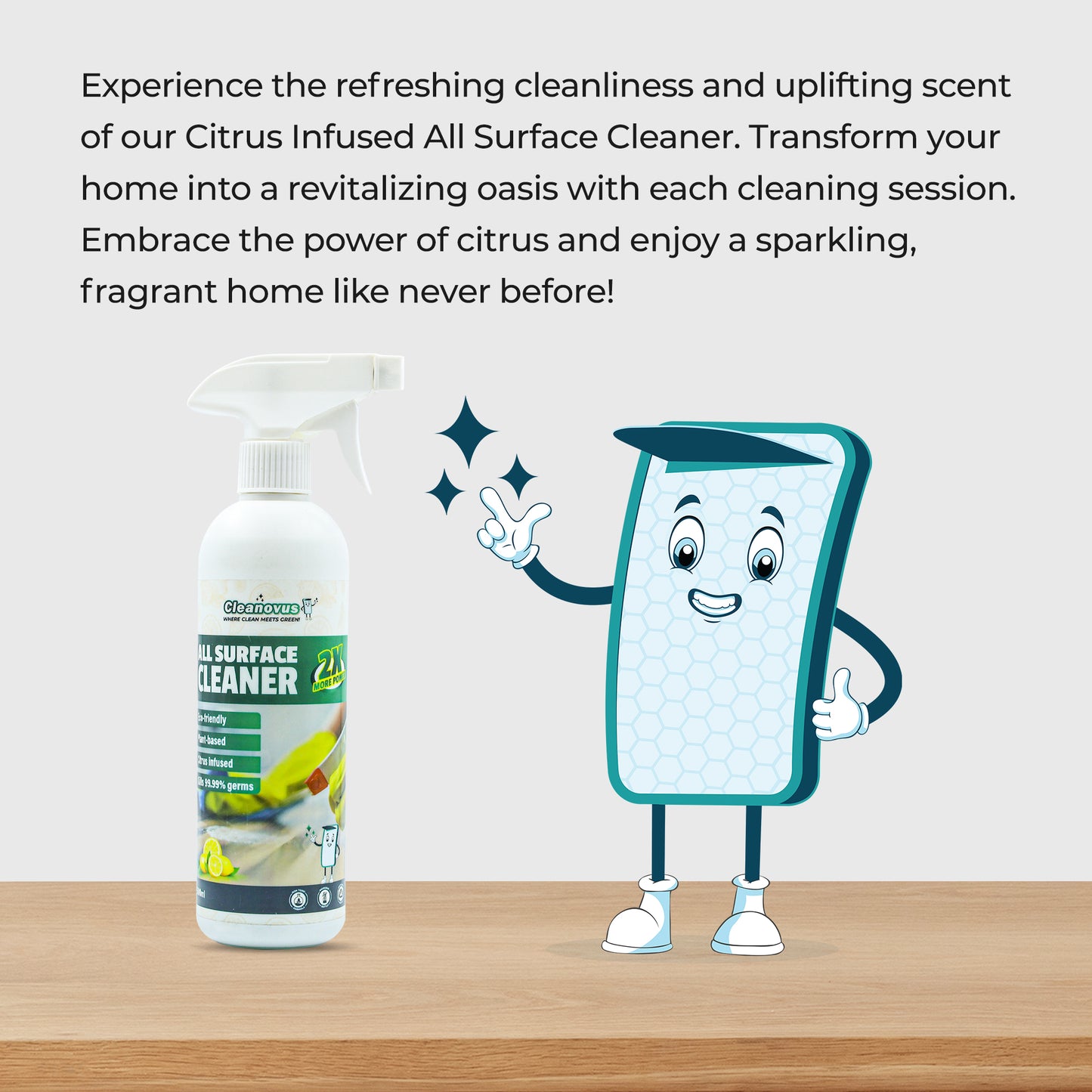 All Surface Cleaner